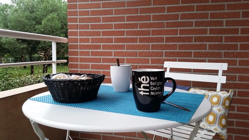 Apartment Appartement Contemporain Proche Meteo, Basso Cambo, Edf, Airbus & Thales Toulouse